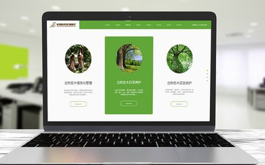 托管维护