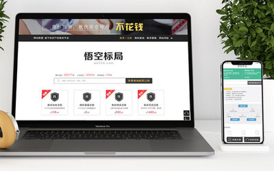 网站定制开发