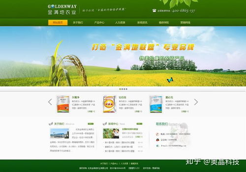 为什么建议企业不用模板建站的方式做网站 模板网站的缺点